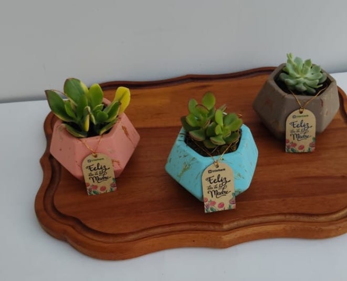 Maceteros Geométricos con suculentas