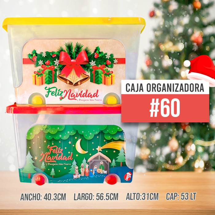 Caja Organizadora Nro 60