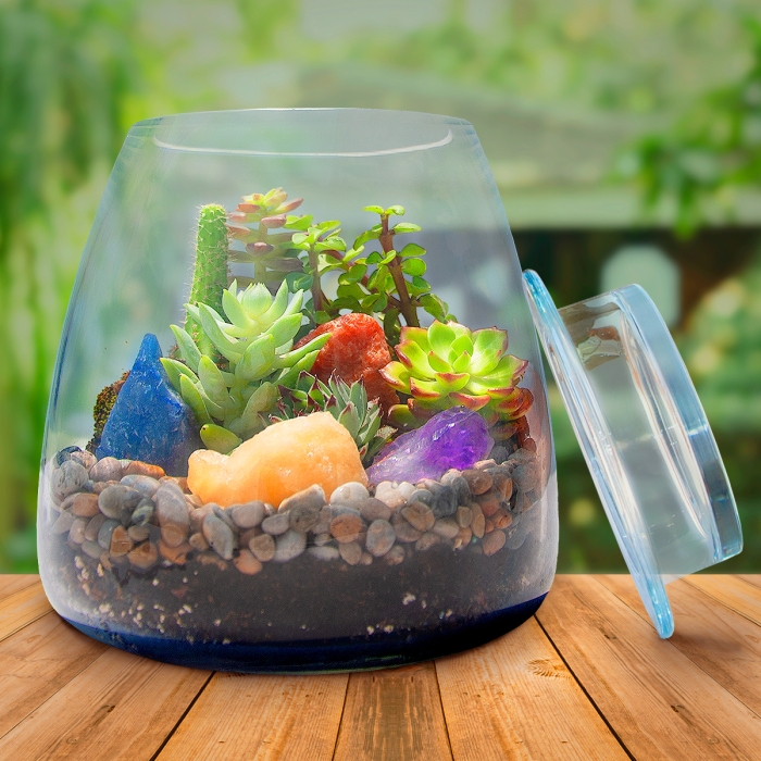 Terrario de piedras mágicas