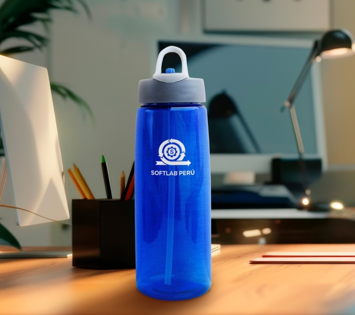 Mochila modelo ejecutivo 2025