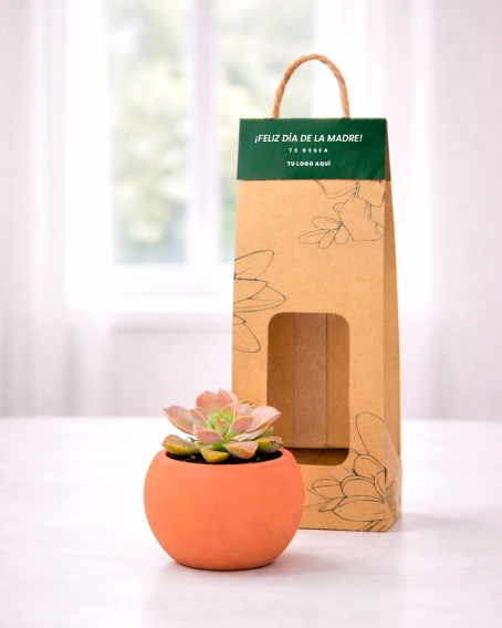 Maceta de ceramica con suculentas variadas
