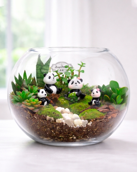 Terrario de suculentas  Familia Panditas