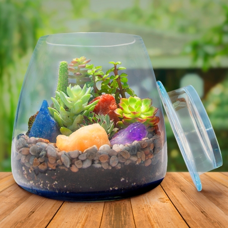 Terrario de piedras mágicas