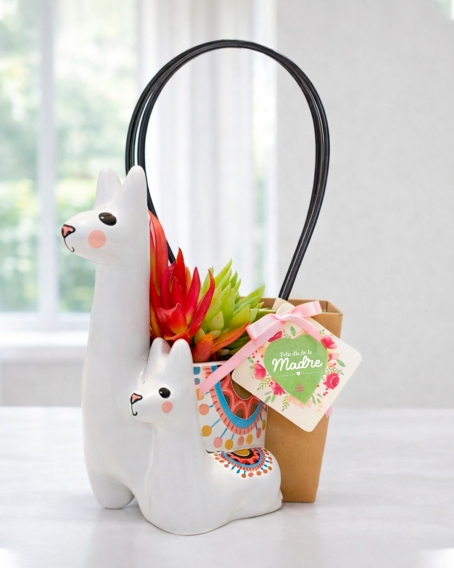Macetero de cerámica con suculentas - Vicuña y su bebé 