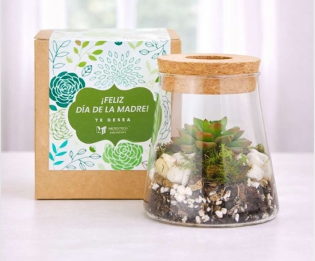 Plantas Corporativa  para Regalar