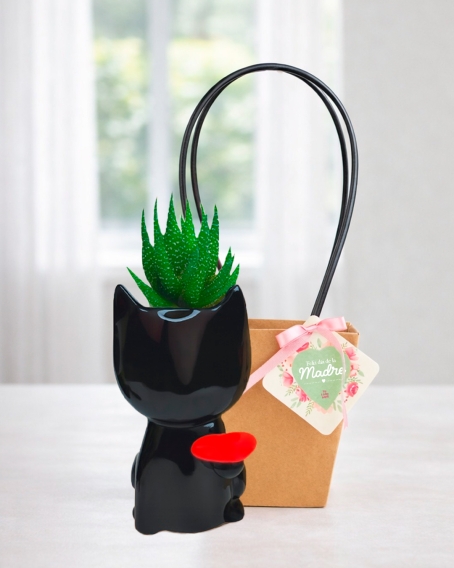 Macetero Gatita encantadora